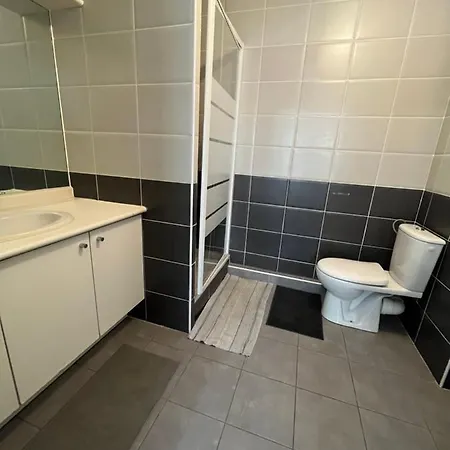 Cosy T2 Lumineux Montpellier