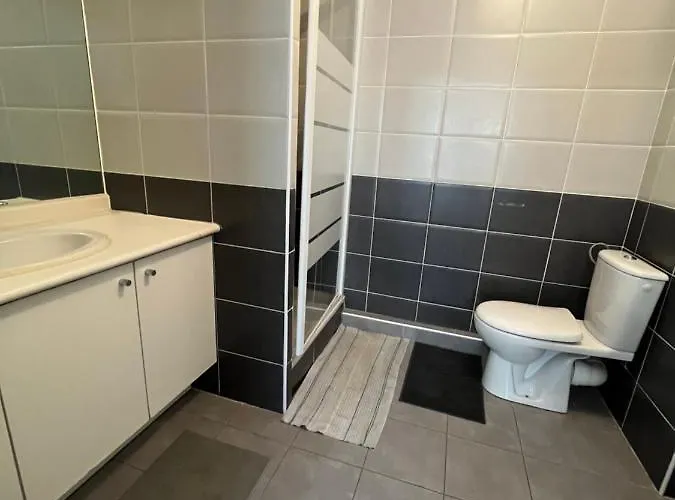 Cosy T2 Lumineux Montpellier